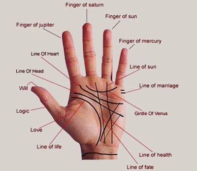 Let's know what your hand lines are